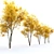 Autumn Summit Green Ash Tree 3D model small image 4