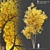 Autumn Summit Green Ash Tree 3D model small image 6
