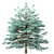 Blue Spruce Trio: Stunning Picea Pungens Set 3D model small image 2