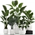 Exquisite Plant Collection in White Vases 3D model small image 1