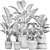 Exquisite Plant Collection in White Vases 3D model small image 5