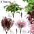 3 Tree Set: Red Maple, Chinese Magnolia & Persian Silk 3D model small image 1