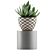 118 Agave Plant Collection 3D model small image 2