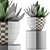 118 Agave Plant Collection 3D model small image 4