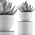 118 Agave Plant Collection 3D model small image 5