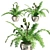 Lush Double Boston Fern: Incl. Pot 3D model small image 1