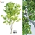 Natural Ash Tree Woodcraft 3D model small image 4