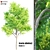 Exquisite Acacia Nilotica Wood 3D model small image 1