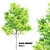 Exquisite Acacia Nilotica Wood 3D model small image 5