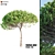 Italian Pine Wood: Exquisite Craftsmanship 3D model small image 1