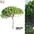 Italian Pine Wood: Exquisite Craftsmanship 3D model small image 4