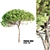 Italian Pine Wood: Exquisite Craftsmanship 3D model small image 5