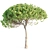 Italian Pine Wood: Exquisite Craftsmanship 3D model small image 6