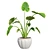 Luscious Elephant Ear Pot 3D model small image 1