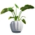 Luscious Elephant Ear Pot 3D model small image 3