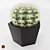 Stylish Cactus Pot - Hair And Fur 3D model small image 3