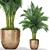 Diverse Plant Assortment for Your Home 3D model small image 1