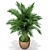 Diverse Plant Assortment for Your Home 3D model small image 2