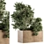82 Piece Outdoor Olive Plant Set 3D model small image 1