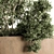 82 Piece Outdoor Olive Plant Set 3D model small image 2