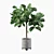 Elegant Ficus Benghalensis: 3D Plant Collection 3D model small image 3