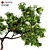 Elegant Ornamental Tree: Perfect Home Decor 3D model small image 3