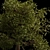 Autumn Serenity: 3D Tree with Natural Textures 3D model small image 2