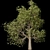 Autumn Serenity: 3D Tree with Natural Textures 3D model small image 3