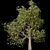 Autumn Serenity: 3D Tree with Natural Textures 3D model small image 10