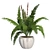 Cinnamon Fern: Potted Greenery Elegance 3D model small image 1