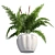 Cinnamon Fern: Potted Greenery Elegance 3D model small image 4