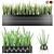 Premium Quality Sansevieria 4 3D model small image 1