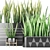 Premium Quality Sansevieria 4 3D model small image 2