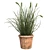  Realistic Cattail Plant with Pot 3D model small image 1