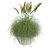 Pampas Grass: Stylish Pot Included 3D model small image 1