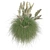Pampas Grass: Stylish Pot Included 3D model small image 2