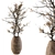 Natural Beauty: Indoor Dried Plant Set 3D model small image 1