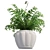 Lush Western Sword Fern in Pot 3D model small image 3