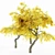 Cherry_Fall 5-Tree Collection 3D model small image 1