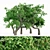 Cherry Blossom Grove: 5 Tree Collection 3D model small image 1
