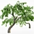 Cherry Blossom Grove: 5 Tree Collection 3D model small image 3