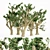 Lush Cedar Of Lebanon Grove 3D model small image 1