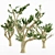 Lush Cedar Of Lebanon Grove 3D model small image 4