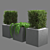 Botanical Beauty: 648k Polygon Plant 3D model small image 3