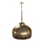 Blossom Pendant Light 3D model small image 1