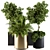 90-Piece Indoor Plant Set: Black & Gold 3D model small image 1