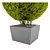 Giant Thuja Folded: 620x620x820mm 3D model small image 2