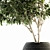 Olive Indoor Plant Set: Stylish Greenery for Your Home 3D model small image 2