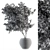 Olive Indoor Plant Set: Stylish Greenery for Your Home 3D model small image 4