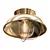 Coastal Chic Nantucket Ceiling Light 3D model small image 1